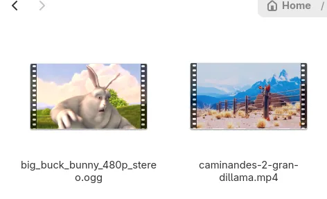 El gestor de miniaturas GST-Thumbnailer se ha propuesto como gestor de miniaturas para GNOME