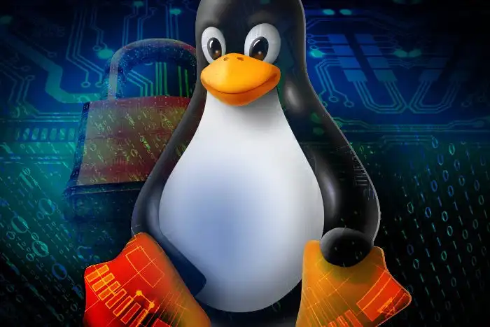 La comunidad Linux enciende las alarmas a fin de debatir como afrontar la nueva Ley de Garantía de la Edad Digital